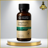 LYMPHATIC DRAINAGE (D.P)
