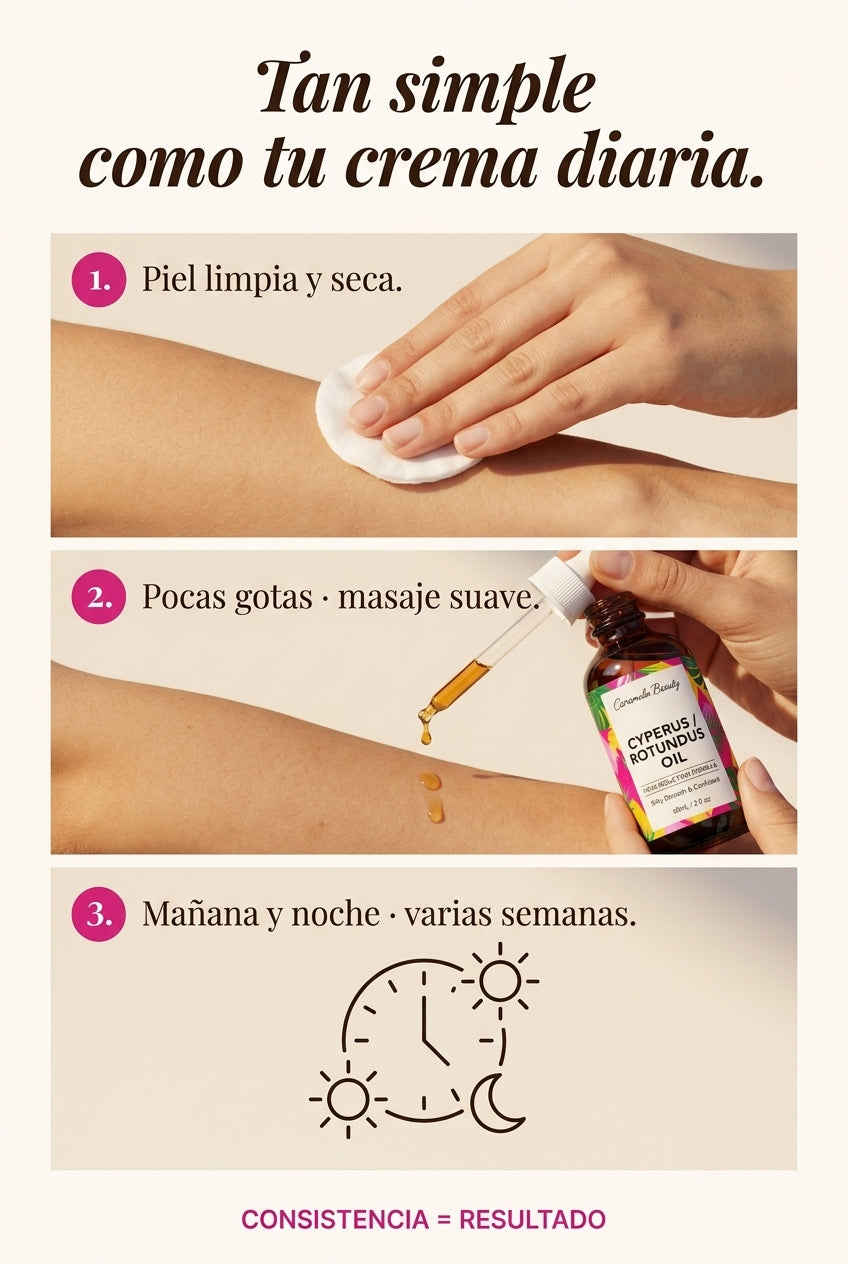Cómo usarlo · paso a paso