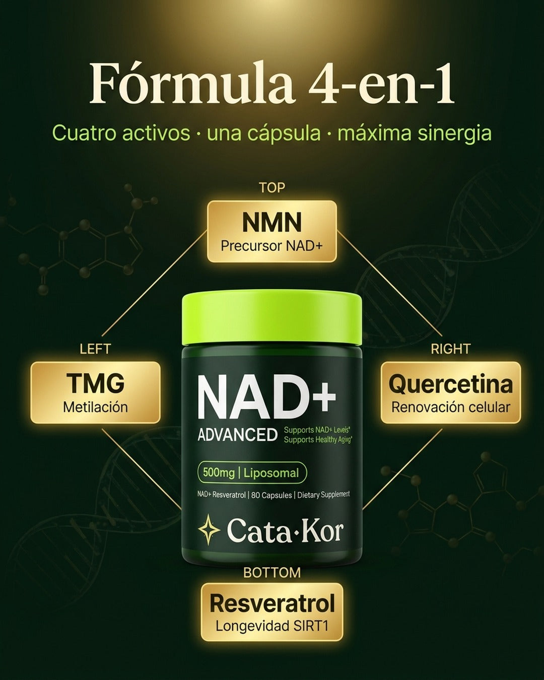 Fórmula 4-en-1 · NMN + TMG + Quercetina + Resveratrol · tecnología liposomal